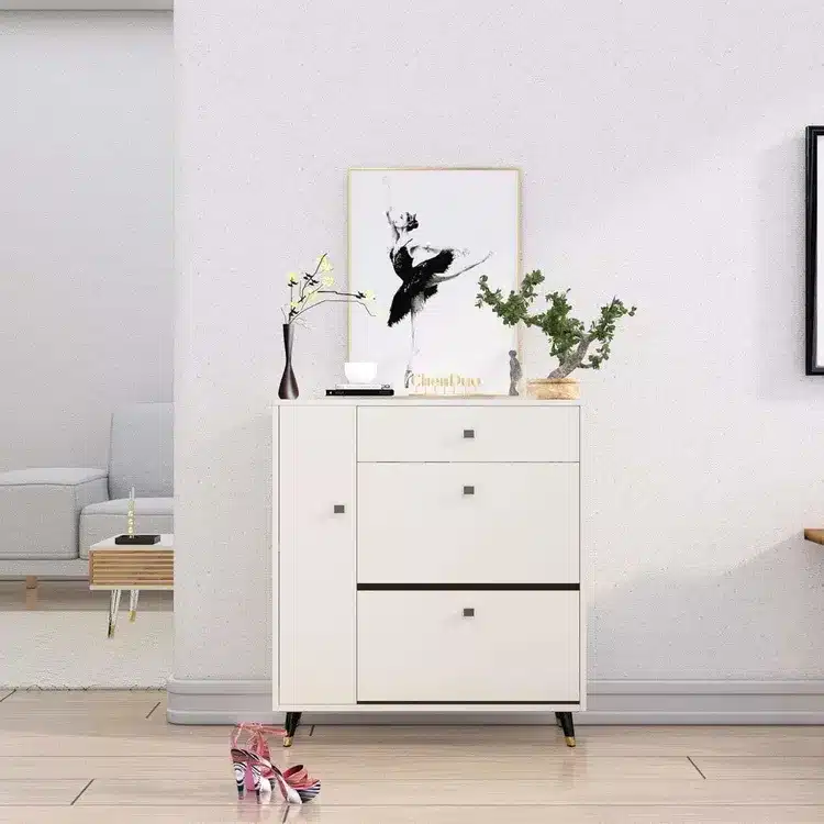 Storage Cabinet with Flip Drawer & Organizer - Product Details